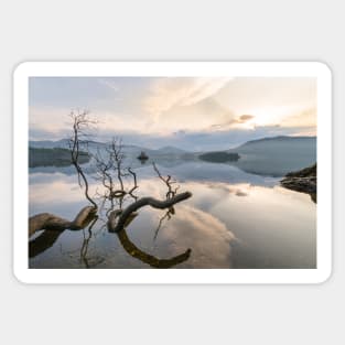 Otterbield Bay Dawn Sticker